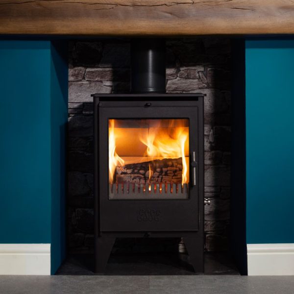 ESSE 550 Freestanding Multifuel Stove - Image 6